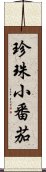 珍珠小番茄 Scroll