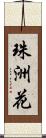 珠洲花 Scroll