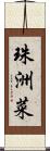 珠洲菜 Scroll