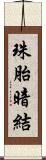 珠胎暗結 Scroll