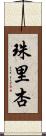 珠里杏 Scroll