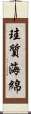 珪質海綿 Scroll