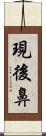 現後鼻 Scroll