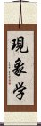 現象学 Scroll