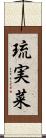 琉実菜 Scroll