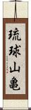 琉球山亀 Scroll