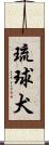琉球犬 Scroll