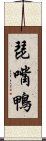 琵嘴鴨 Scroll