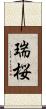 瑞桜 Scroll
