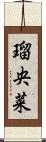 瑠央菜 Scroll