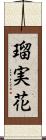 瑠実花 Scroll