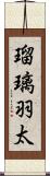 瑠璃羽太 Scroll