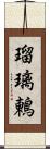 瑠璃鶇 Scroll