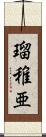 瑠稚亜 Scroll