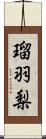 瑠羽梨 Scroll