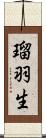 瑠羽生 Scroll