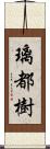 璃都樹 Scroll