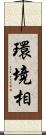 環境相 Scroll