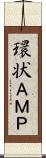 環状ＡＭＰ Scroll