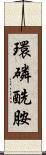 環磷酰胺 Scroll