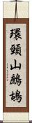 環頸山鷓鴣 Scroll