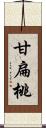 甘扁桃 Scroll