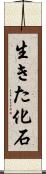 生きた化石 Scroll