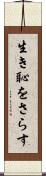 生き恥をさらす Scroll