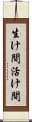 生け間 Scroll