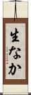 生なか Scroll