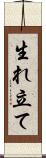 生れ立て Scroll