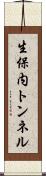 生保内トンネル Scroll