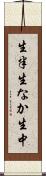 生半 Scroll