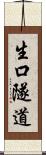 生口隧道 Scroll
