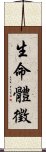 生命體徵 Scroll