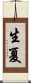 生夏 Scroll