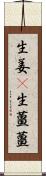 生姜(P);生薑;薑 Scroll