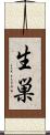 生巣 Scroll