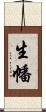 生幡 Scroll