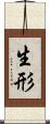 生形 Scroll