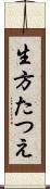 生方たつえ Scroll