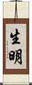 生明 Scroll