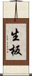 生板 Scroll