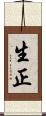 生正 Scroll