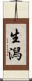 生潟 Scroll