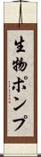 生物ポンプ Scroll