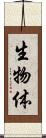 生物体 Scroll