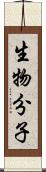 生物分子 Scroll