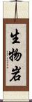 生物岩 Scroll
