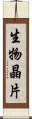 生物晶片 Scroll